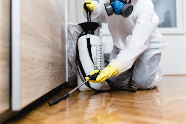 Best Pest Inspection Near Me  in Louise, TX