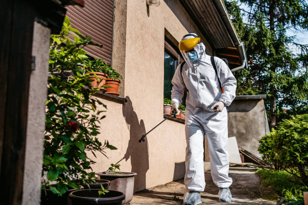 Best Affordable Pest Control Services  in Louise, TX