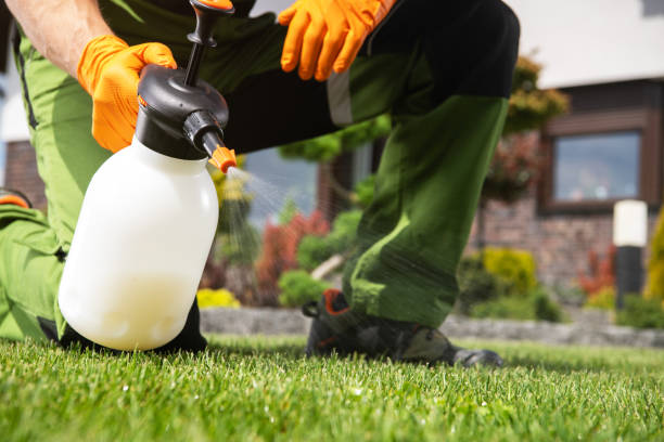 Best Affordable Pest Control Services  in Louise, TX