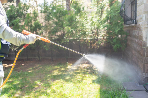 Best Pest Control Treatment  in Louise, TX