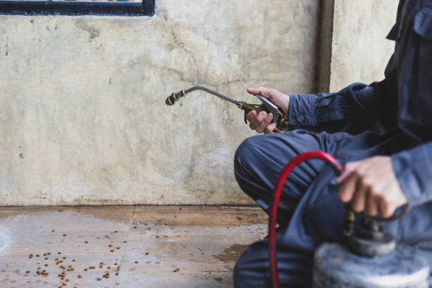 Best Termite Control Services  in Louise, TX